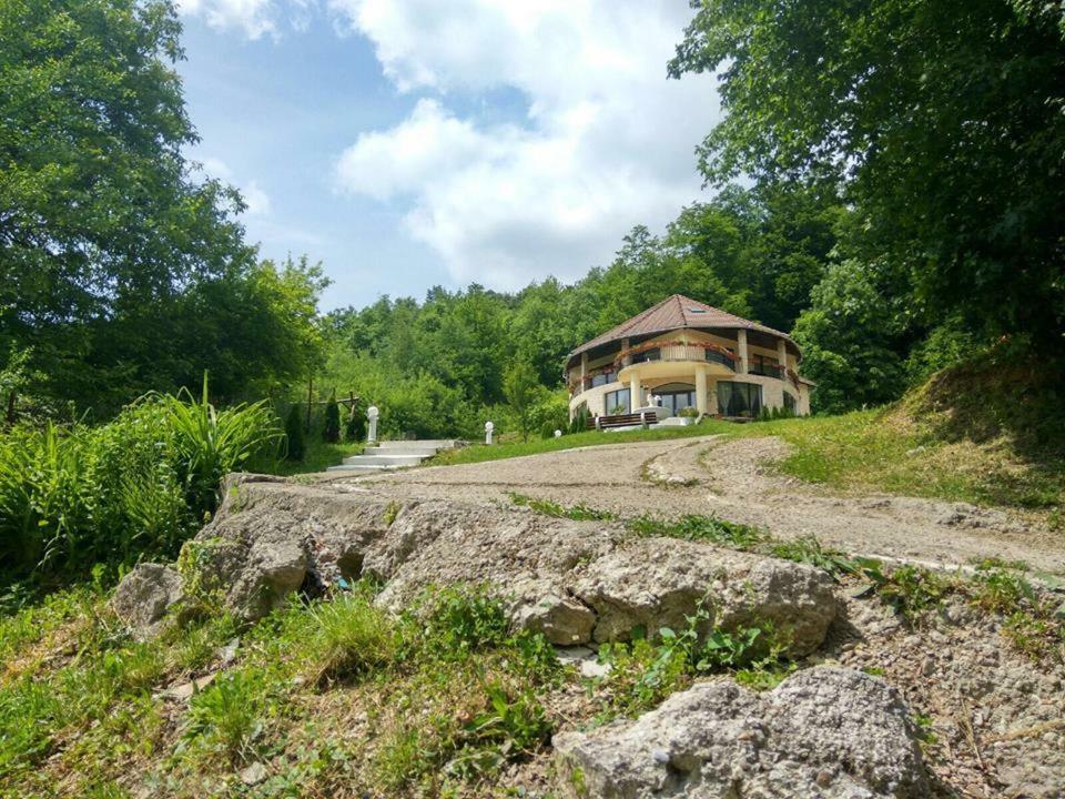 Pensiunea Medeea Pestis Exterior foto